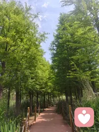 所有的委屈都会消散，所有的温柔都会如期而至。配图