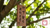 放下执念