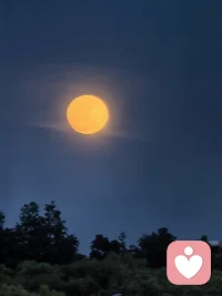 我每天9-10点睡觉
6-7点起床
逐渐步入老年作息
😁😁😁