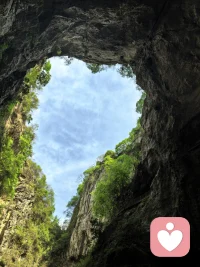 慢一点
有时候放慢了脚步
才能看到身边的风景