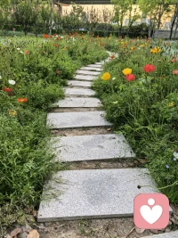 需要是个体在生理上和心理上的某种不平衡状态。情绪情感和动机都是在需要的基础上产生的。人有生理的需要，如饥择食、渴择饮等，也有社会的需要， 如劳动的需要、人际交往的需要、成就的需要、自尊 的需要等。需要不同，人们寻求满足需要的途径和方式也有所不同。 
因此，在需要的基础上产生的情绪情感、动机就构成人们心理与行为的动力系统。一个需要满足了，会产生其他的需要，这使得我们的动力系统持续运转！需要的不同构成了人与人之间的不同，当需要不被满足时，一系列的情绪情感行为动机就出现了……
你了解你的需要么？