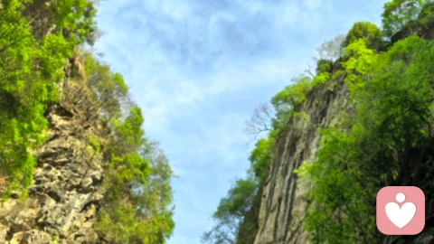 人格心理学概述及各个流派研究核心