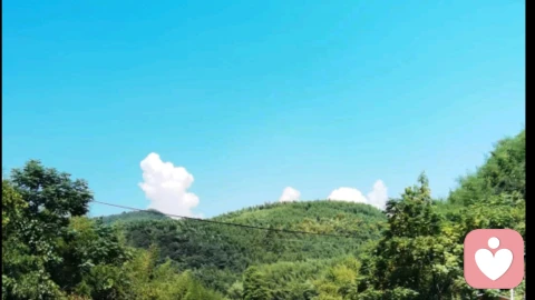 阿德勒的人格心理学研究