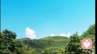 阿德勒的人格心理学研究