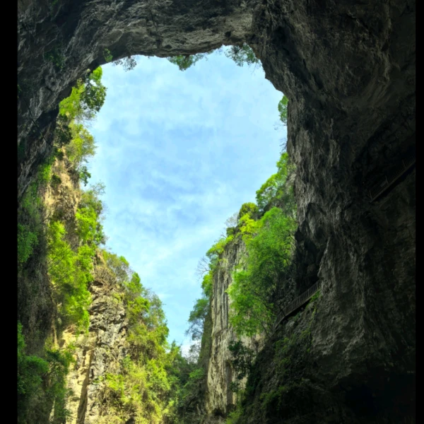心怡