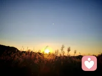 夕阳会落，晚风会来，你也不用一直硬撑着，在这里，你可以卸下所有伪装，把烦恼和情绪都慢慢说出来，我会一直认真听配图
