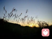 夕阳会落，晚风会来，你也不用一直硬撑着，在这里，你可以卸下所有伪装，把烦恼和情绪都慢慢说出来，我会一直认真听配图