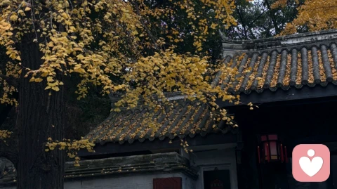 “我好像被困住了”：写给那个在求职路上反复内耗的你\n