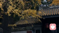 “我好像被困住了”：写给那个在求职路上反复内耗的你\n