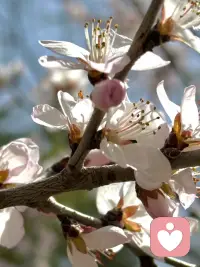 当你真正坚信自己“值得”被爱、被尊重、拥有美好事物时，你的价值就不再依赖外界的反馈来维持。别人的评价——无论是夸奖还是贬低——都只是观点，而不是事实。配图