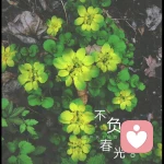 幽竹听风的头像