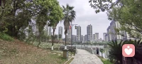 允许自己不懂事，也允许自己不坚强。你可以脆弱，也可以难过。也可以偶尔情绪失控。在我这里，所有的情绪都值得接纳。配图