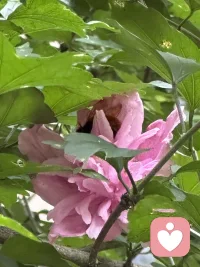 我所清楚遇见的、热切渴望的、真诚追求的、全心全意争取的，都会自然而然的实现。