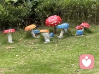 早起确实可以带来奇迹。因为一天的时间又长了，坚持早起一周后。腰上的赘肉明显的减少了，又是元气满满的一天，开始运动了！配图
