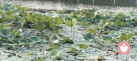 每天勇敢一点，进步一点，做你认为你无法做到的事情，去挑战自己，这是你所能做到的最好的事情！