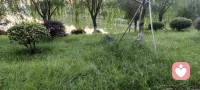 不要担心2小时和8公里之外的事，因为你担心的事大多数不会发生，就算发生了，本应该承受一次痛苦的事，却因为你提前担心，而痛苦两次！假如事情没有发生，本不应该承受的痛苦，却因为提前担心，白白痛苦了一次！