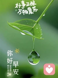 很多话，说不出口，却压在心底沉甸甸。
很多情绪，无人共鸣，却需要一个温柔的出口。
我不打断、不说教、不评判，
只用心倾听你的每一句诉说，陪你慢慢梳理，慢慢释怀。配图