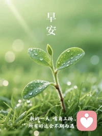 不用强迫自己坚强，也不用刻意解释情绪。
在这里，没有评判，没有催促，只有安静的倾听与全然的接纳。
你可以慢慢说，把委屈、迷茫、心事都轻轻放下，
我会陪着你，接住每一份情绪，温暖每一段独处的时光。配图