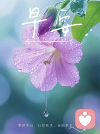 接纳所有情绪，倾听每一份心声
生活的琐碎、压力、遗憾与迷茫
那些不敢和家人说、不能和朋友讲的秘密
在这里，都可以自由倾诉
 
沉浸式倾听，零距离共情
守住你的隐私，尊重你的所有感受
消解情绪负能量，缓解精神内耗
不用假装快乐，不用小心翼翼
卸下所有枷锁，安心做自己
我始终在线，认真倾听，温柔陪伴配图