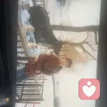 内蒙风的季节的头像