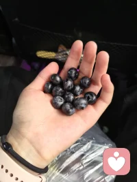 或许淡淡的才能顺顺的配图