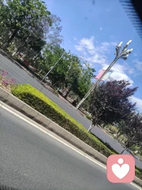 或许淡淡的才能顺顺的配图