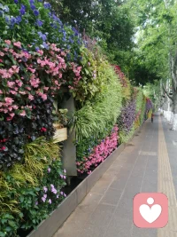 每个人都有心情低落的时候