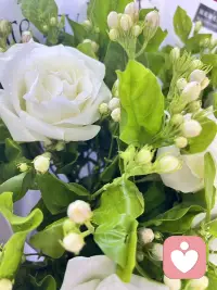 心结都是自己困住自己，放下执念，看淡得失，心宽一寸，路宽一丈。配图