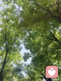 我开始爱山，爱水，爱阳光，爱树木，爱一切能让我平静有快乐感知的东西🫰配图