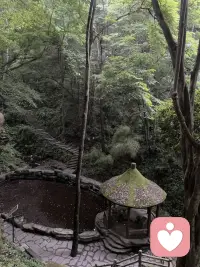 寻一处幽境，偷半日清闲，享受独有的山野禅意🌿配图