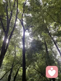 寻一处幽境，偷半日清闲，享受独有的山野禅意🌿配图
