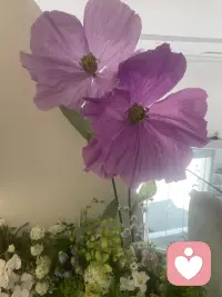 阳光、花和周末，是生活给的温柔小礼物。配图