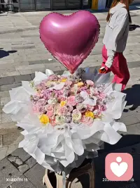 新岁，安好。