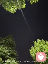 夏一站ෆ: ⑦月ᝰ 🍃
      “上半年已剧终，万事当随风
                        下半年将开始，万事皆如意…”