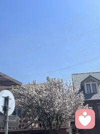 人总要学会在生活中找到自己的小确幸，不纠结，不抱怨配图