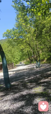 回来的路上，遇到小伙子说手机丢了找我借50块钱，打车去广州，原本是拒绝了，然后他问能不能帮忙在旁边买一笼包子，带到店里面，很沮丧的样子，要了一笼包子和一碗粥，听到这里，我把手机壳后面的100米抠出来给了他，他让我留了电话。
希望他没有骗我，让真真正正需要帮助的人得到帮助，让大家都多一点善意，多一份温暖。
光照进来就温暖！