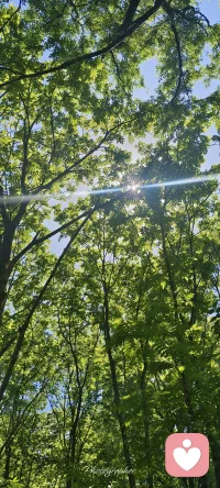 爱因斯坦说：我们讲话，只是重复我们已经知道的，而倾听我们可能学到新东西！配图