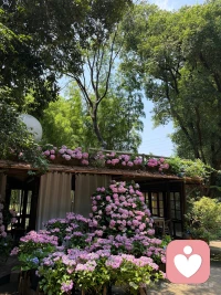 微笑的眼睛，才能看见美丽的风景，简单的心境，才能拥有快乐的心情，简单的不一定最好，但最好的一定很简单。
快乐不难，知足就好，
今天很好，希望明天也是。