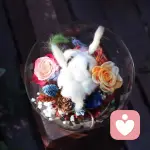 西瓜堂主🍉的头像