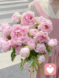 人会因为嘴硬失去很多东西
也会因为心软遭受太多委屈！！