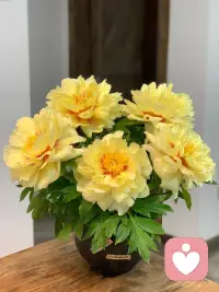你从来没有失去过自由，你一直是自由的。
你感到不自由，是因为你自由的选择了不自由。
萨特这句话说得太好了…