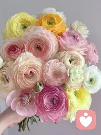 昨晚一个北方城市的小孩哥给我唱粤语歌，他只是喜欢粤语希望自己可以多说多唱，奈何周围并没有这么一个环境，刚好碰上我在粤语这块会听且会说。

平台，请你多推这类天使小孩哥或小孩姐过来🌹配图
