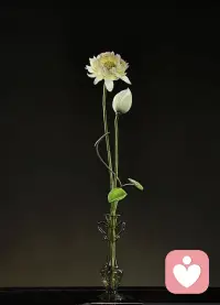 所有情绪都要靠自己消化
没关系 我会救自己千千万万次！