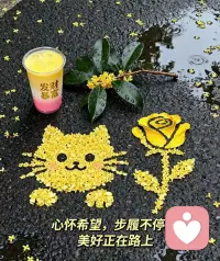 ☀️四月收官，择善而处，与温暖同行✨
感恩每一份信任[爱心]
心怀热爱，踏实奔赴五月，越来越好～配图