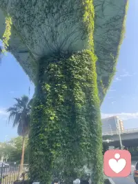 走走停停看看……配图
