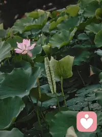 五月第一天，大家早呀！配图