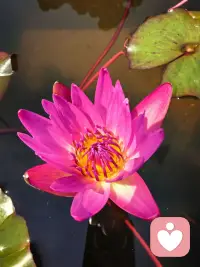 五月第一天，大家早呀！配图