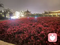 时间不语，却让我们懂得释怀。