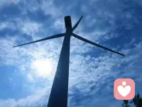 和老闺愉快玩耍配图