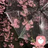 淋了一下雨，整个人都清醒了。配图